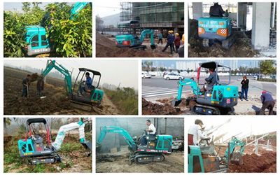 油茶林地与市政工程中的山鼎小型挖掘机价格分析